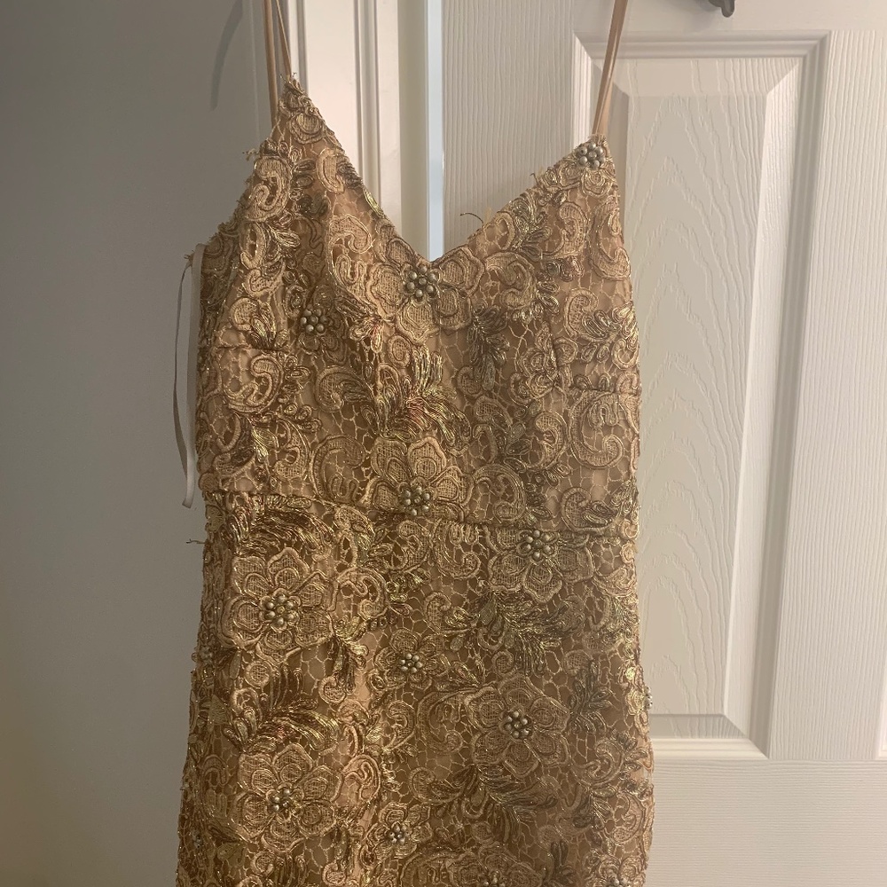 Mikael Aghal beaded gold lace dress